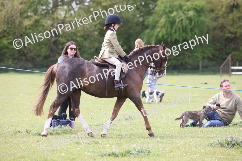 20260426-2929 - Class 33 - Best Pony 14.2hh and Under