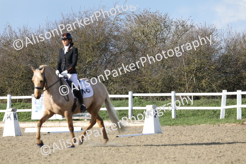 20260314-5806 - DR 7 - Elementary 1