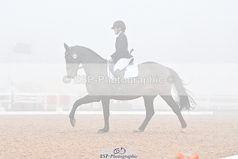 240217A-135346-03307 - 240-Moira.Bonner-Green.lanes.Elidor