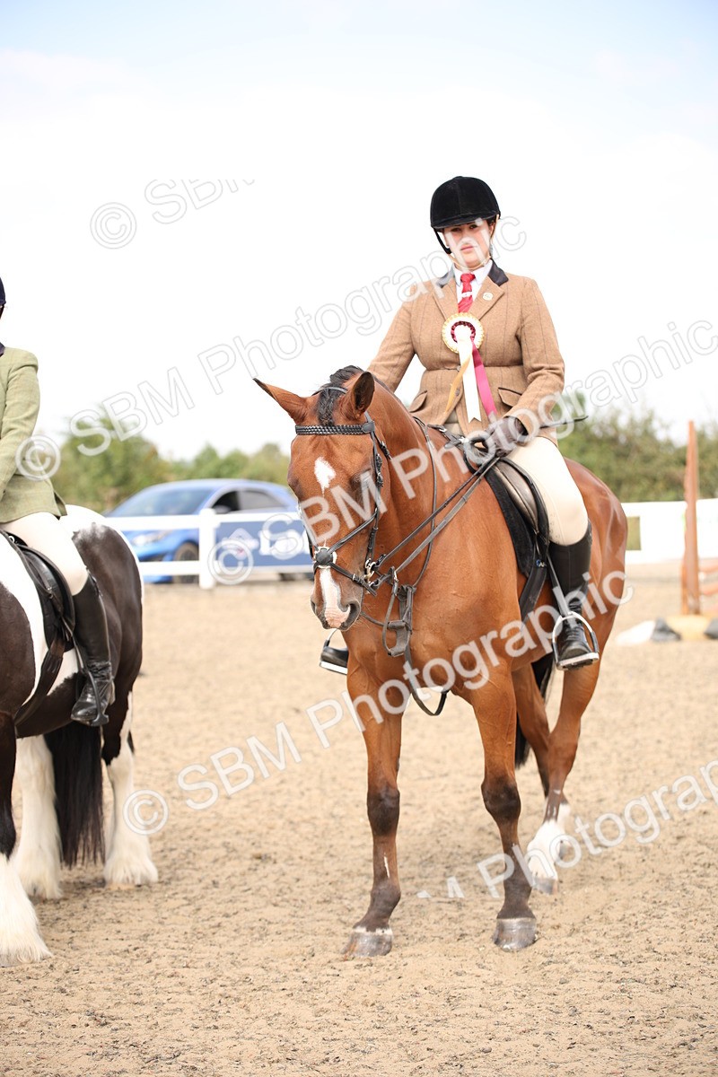 SBM_14381 - Class 407b - Working Veteran 60cm (20+)