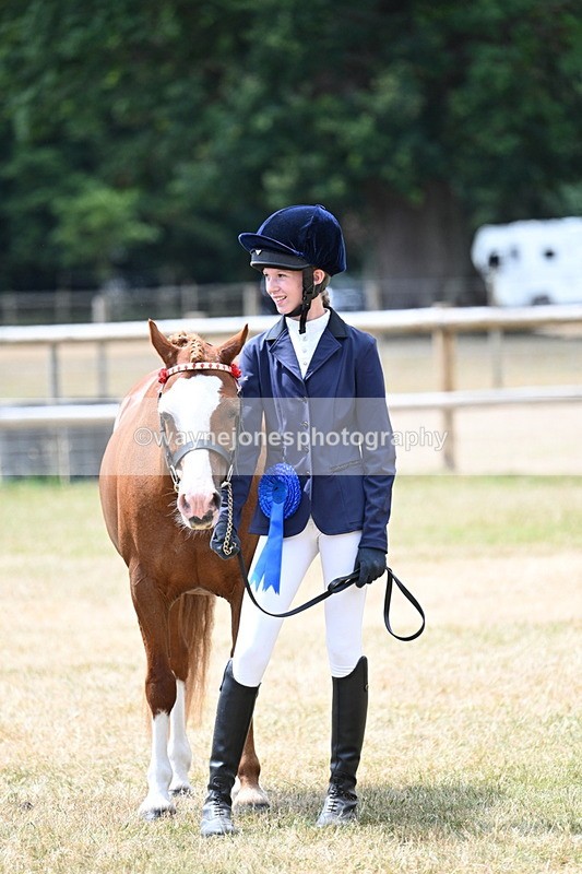 WJ7_2117 - Prettiest Mare Champs