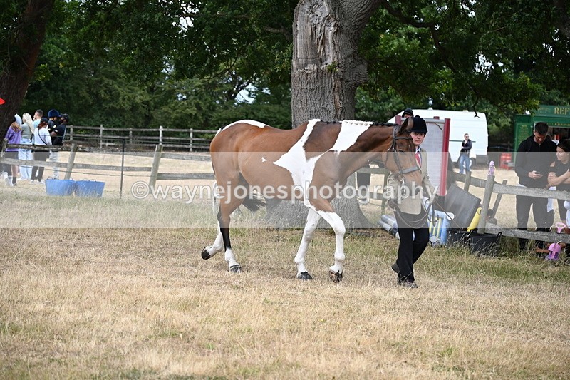 WJ6_8131 - Class 10 Coloured in Hand