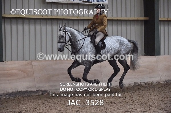 JAC_3528 - CLASS 9 BHS Scotland Riding Club Working Hunter Qualifier