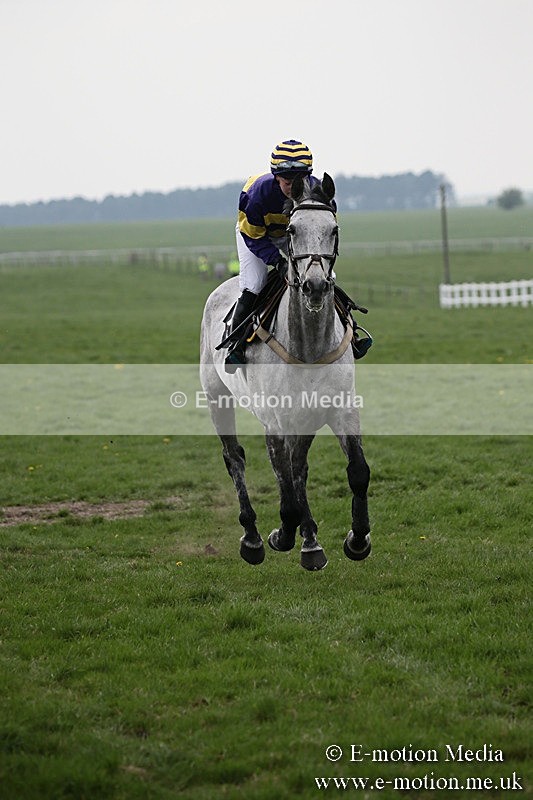PtP 210418 245 - South & West Wilts Point-to-Point Larkhill 21/04/18