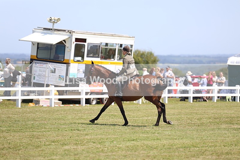3E7A9331 - Class 12: Open Racehorse to Show Horse
