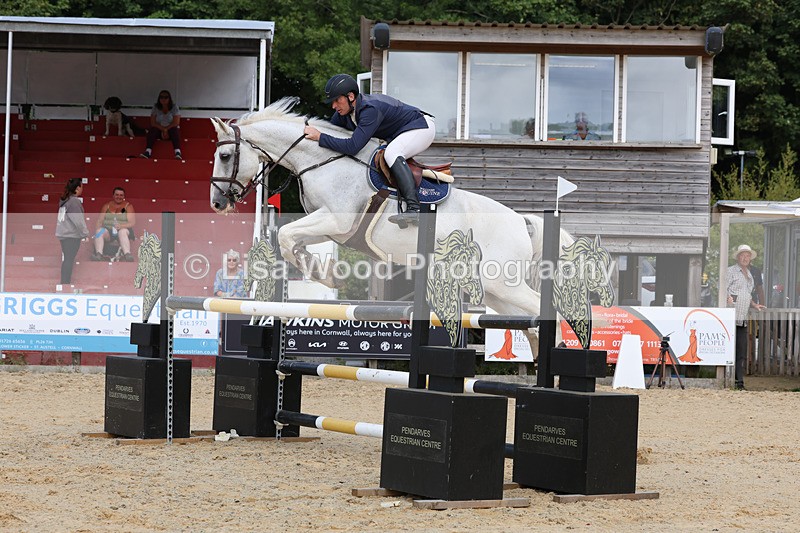 3E7A1817 - Class 9: Senior Foxhunter/1.20 open