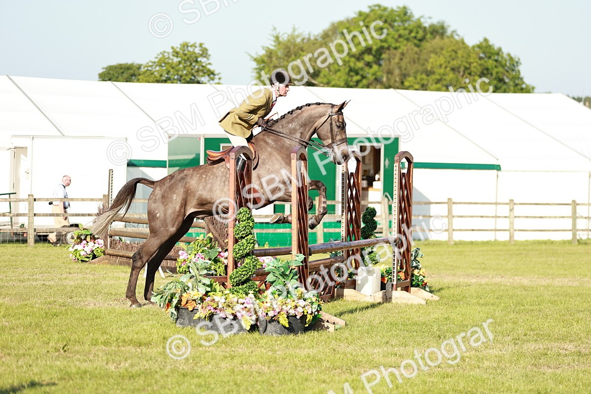 SBM_20146 - Class 117-119 - Sport Horse Working Hunter
