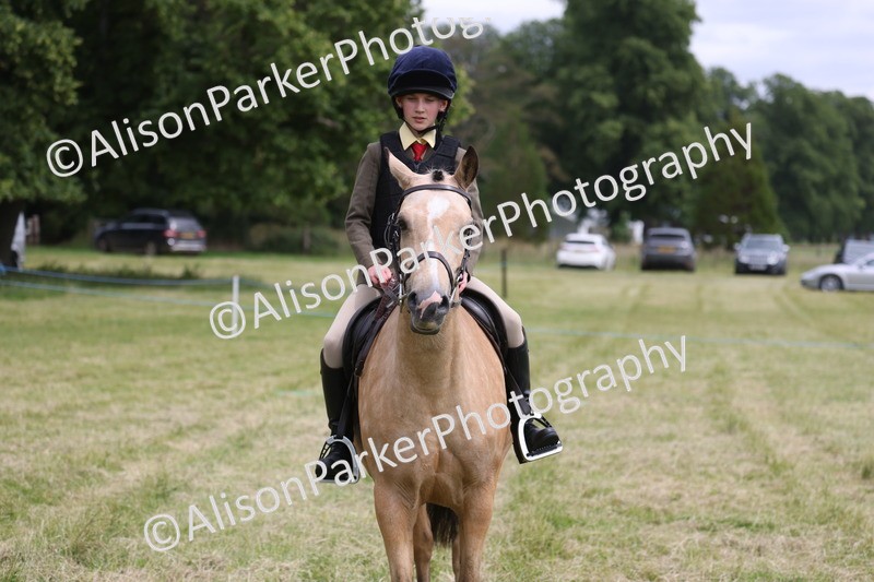 20260614-2980 - Class 22 - Open Working Hunter