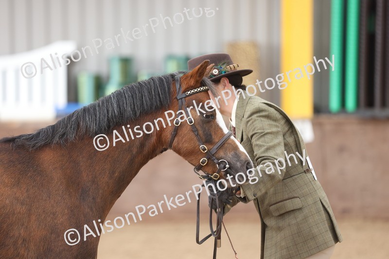 20251109-0651 - Class 22 - Geldings 4 Years and over