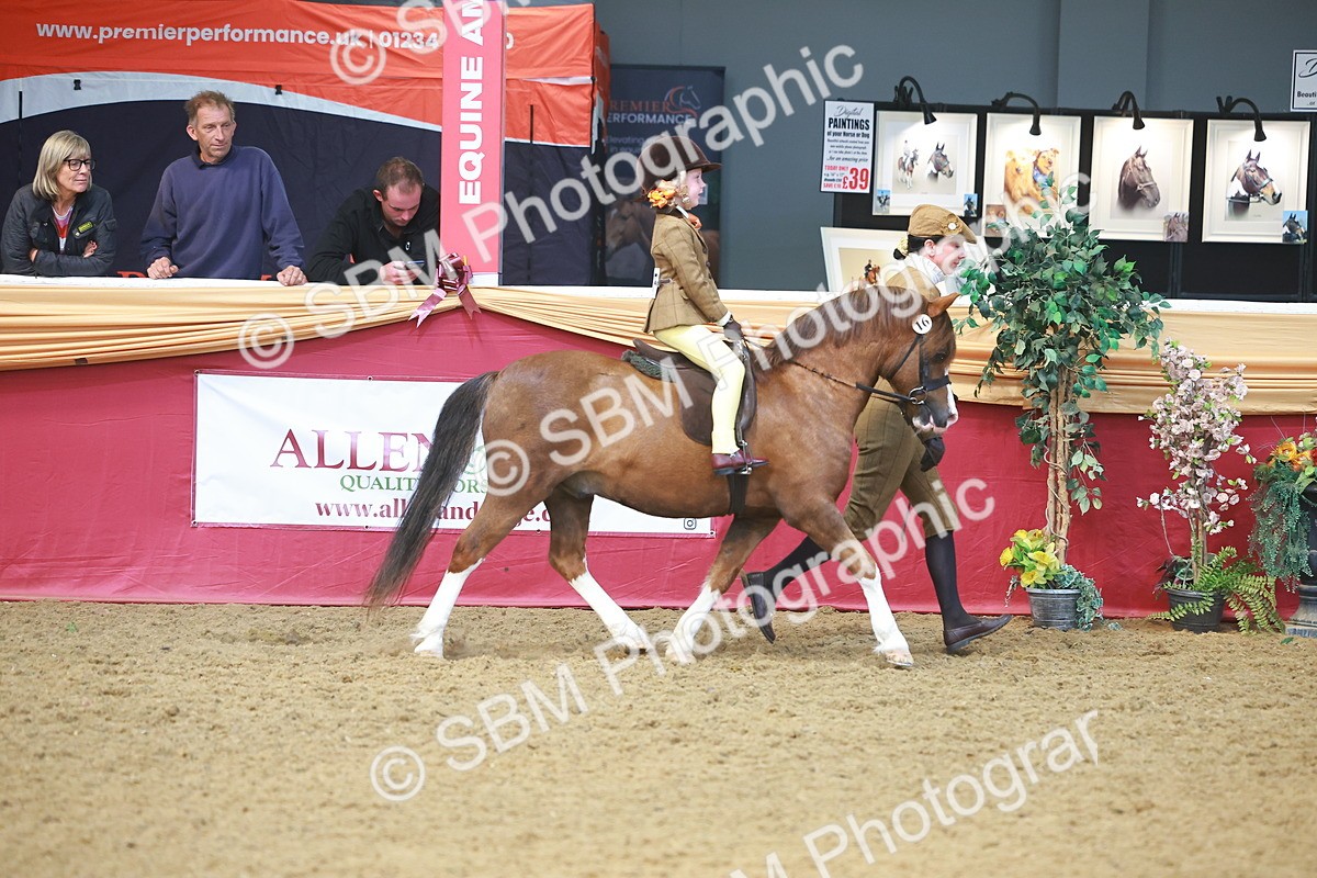 SBM_12494 - Class 103 - HOYS Veteran Qualifier - Ridden Pre Vet