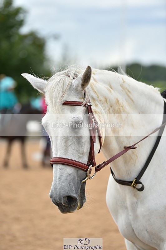230803A-153116-01223 - Thomasina's Group Ride