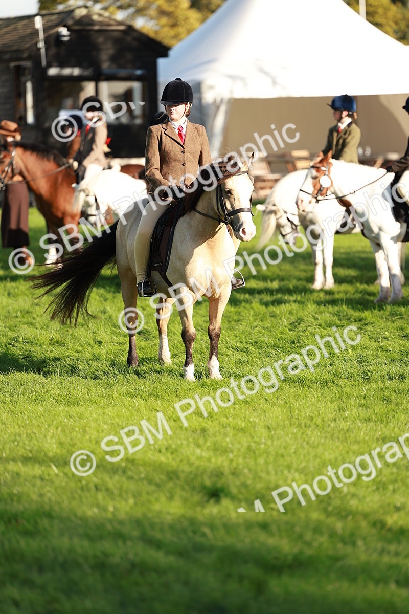 SBM_28743 - S7 - Novice & Newcomer Ridden Pony