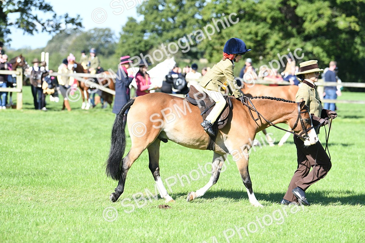 SBM_37117 - S18 - Novice & Newcomers Lead Rein Pony