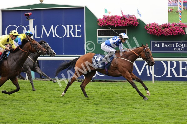 yr20082021r4-103 - Race 4 3.35pm Coolmore Wootton Bassett Nunthorpe Stakes (British Champions Series Race)