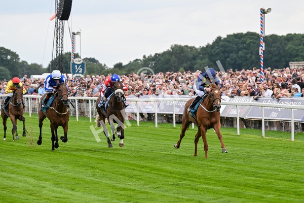 260725-Race 1-Golden Palace-0190 - Race 1 1.25pm £100K ITV7 Jackpot Today EBF Fillies' Novice Stakes