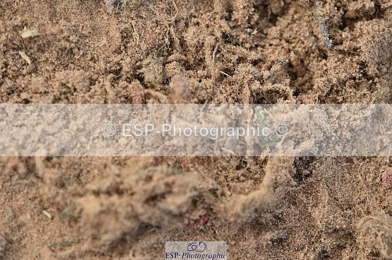 231015A-133740-08377 - Cls 25 95cm Amateur Q 2nd R