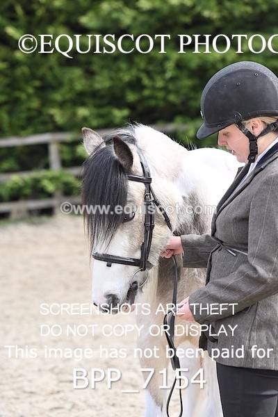 BPP_7154 - RING 1  (RIDDEN HORSES / IN HAND / VETERAN ETC)