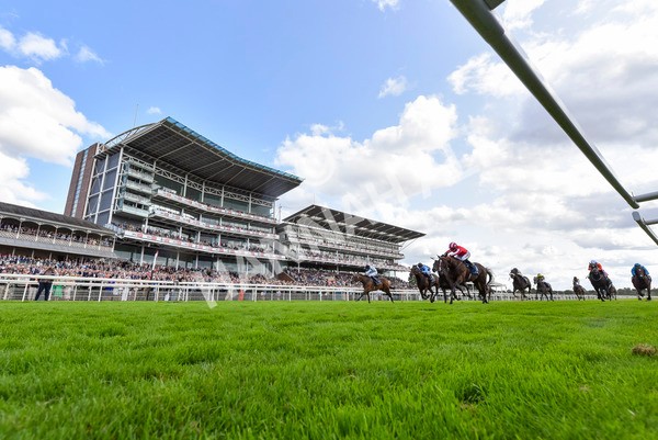 230824-Race 4-Bradsell-4288 - Race 4 3.35pm Coolmore Wootton Bassett Nunthorpe Stakes