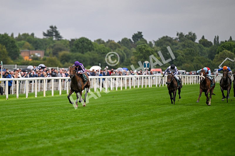 200826-Race 2-Sun Goddess-3129 - Race 2 14.25pm Harry's Half Million By Goffs