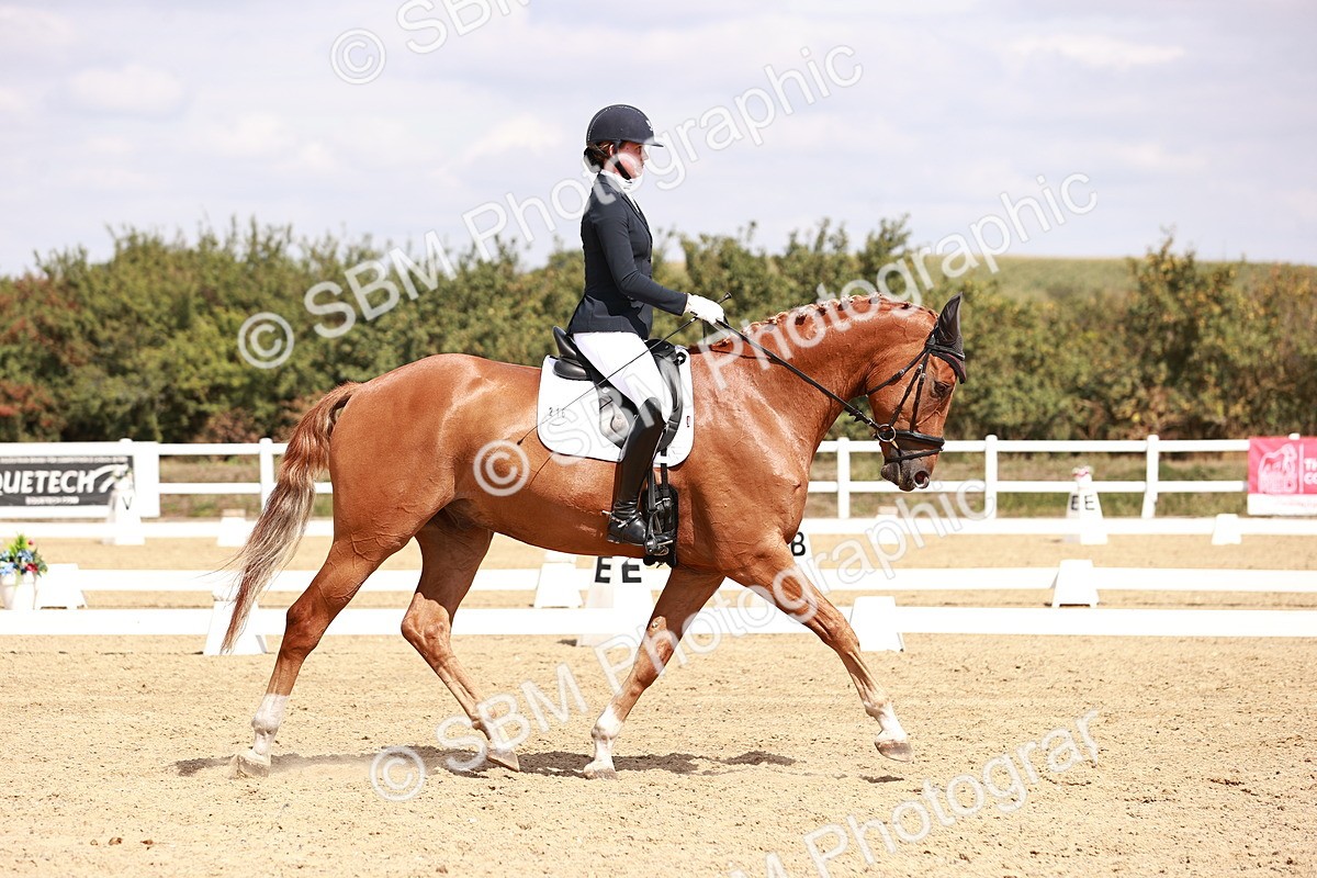 SBM_018481 - Class 17 - Novice 6