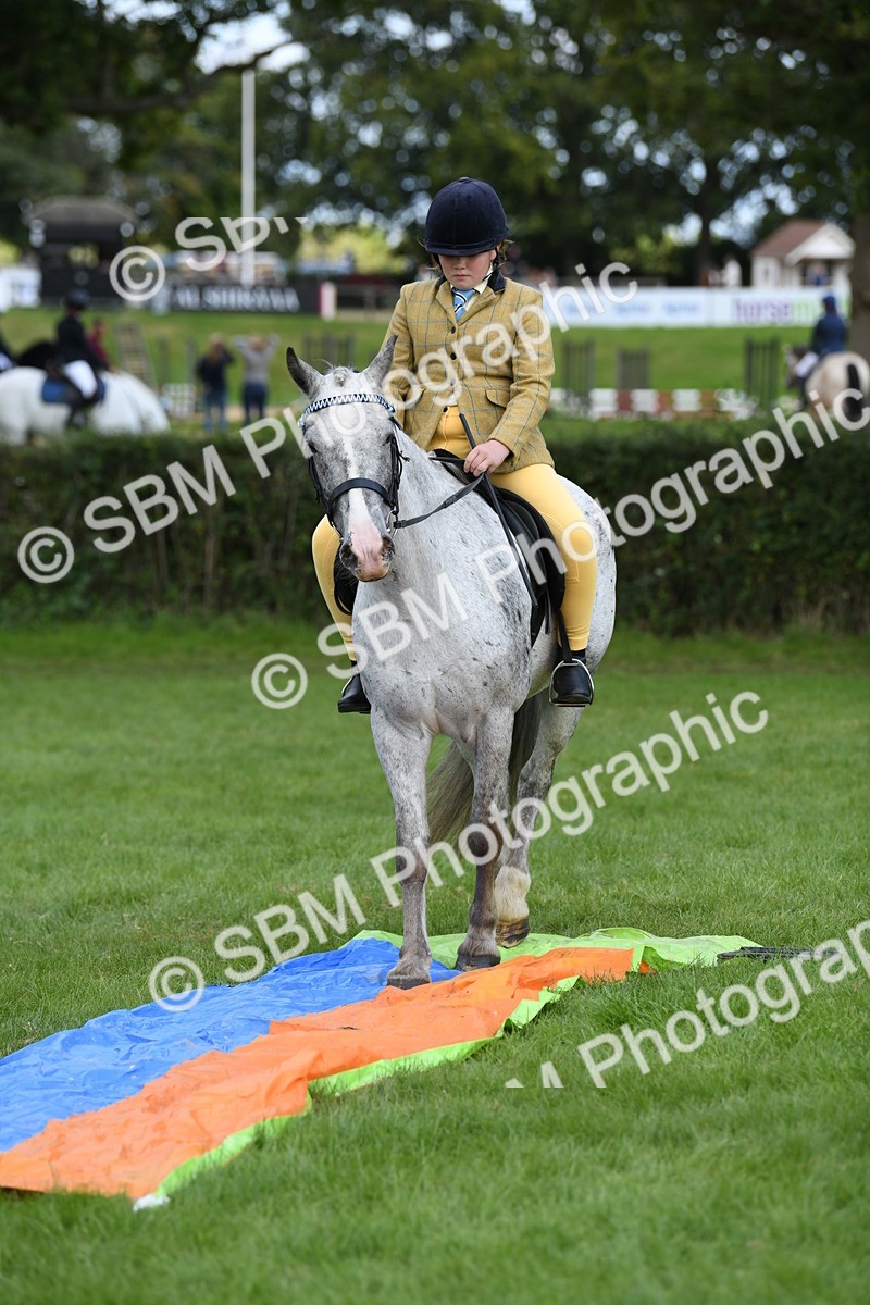 SBM_47179 - S12 - Family Horse & Pony
