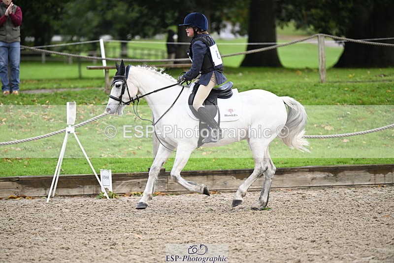 251005A-085205-02874 - Cls 02 GR 50cm