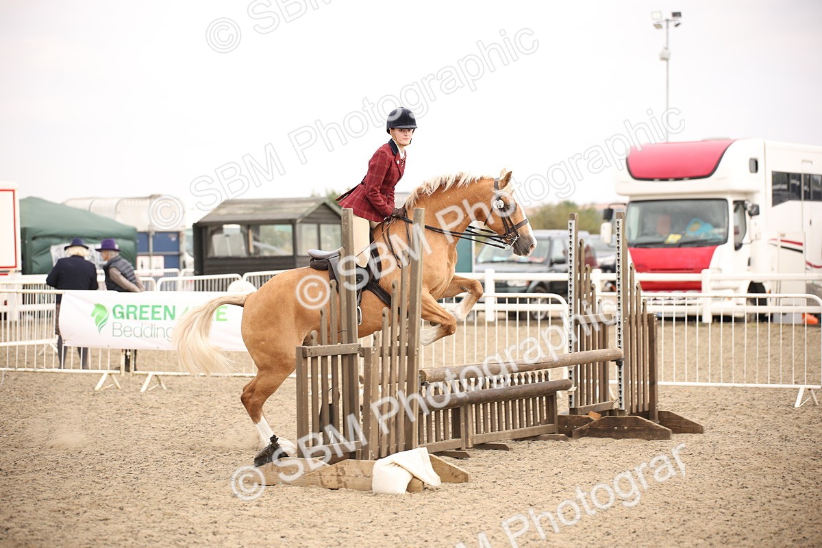 SBM_16203 - Class 409a - Working Veteran 80cm (15-19)