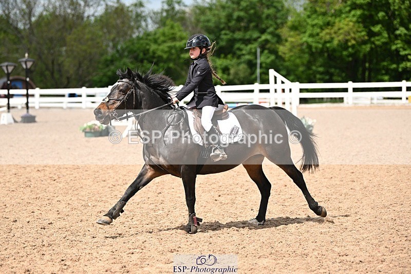 250504-142436-03586 - Cls 23 Stepping Stones