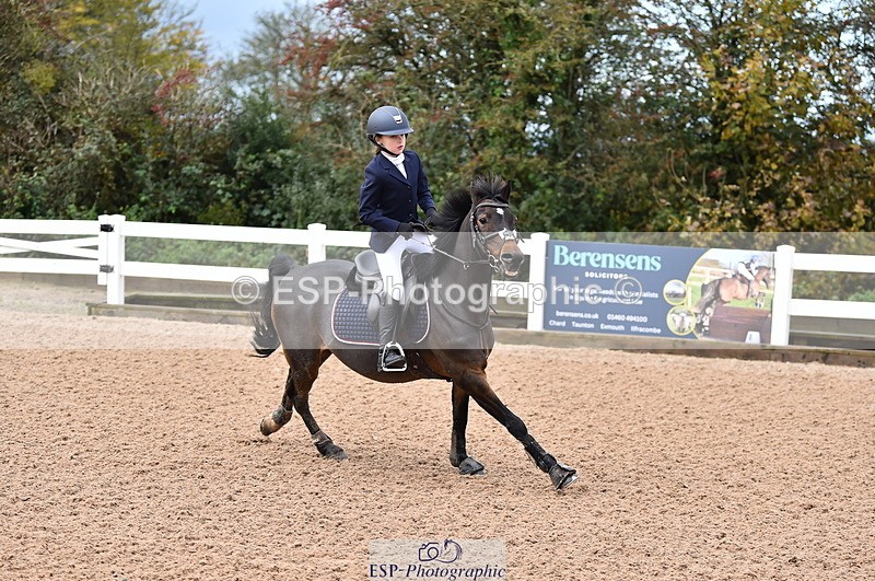 231029A-102720-02290 - 70cm Pony Intro