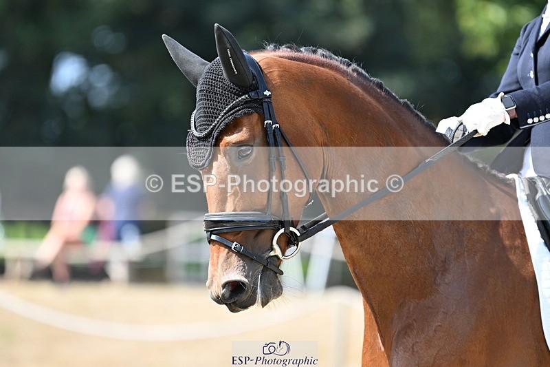 250810A-110529-05707 - 071-Abbie.NewburySeagry.Viceroy