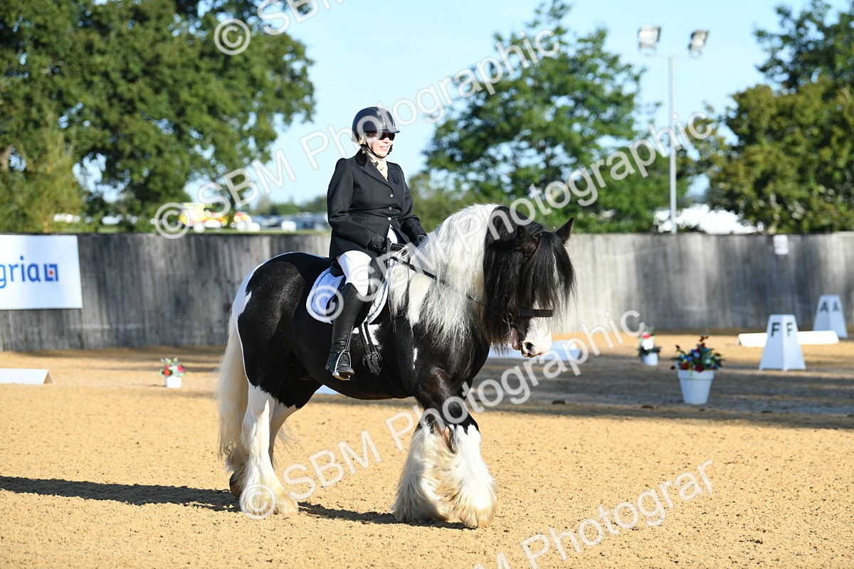 SBM_14479 - D4 - Small Tour Championship - Intro B