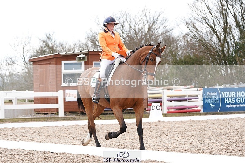 250322-130736-00444 - DR Elementary 2 Test