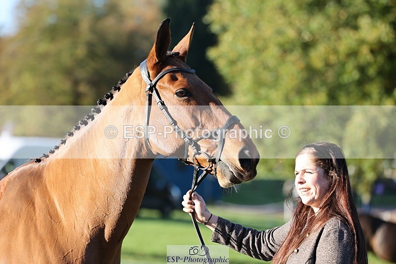 241027-085211-14865 - 376-Rachael.Hardman-WHIPPLETREE.HAILEYS.COMET
