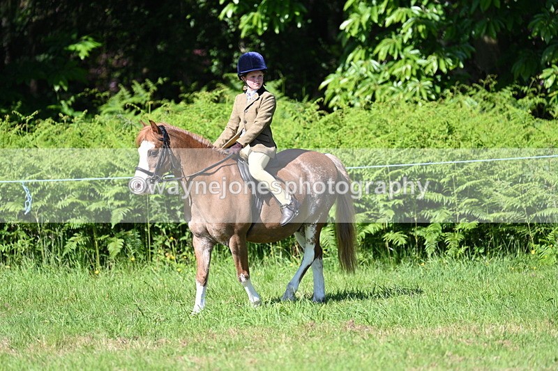 WJ7_0371 - Class 8 First Rally Pony