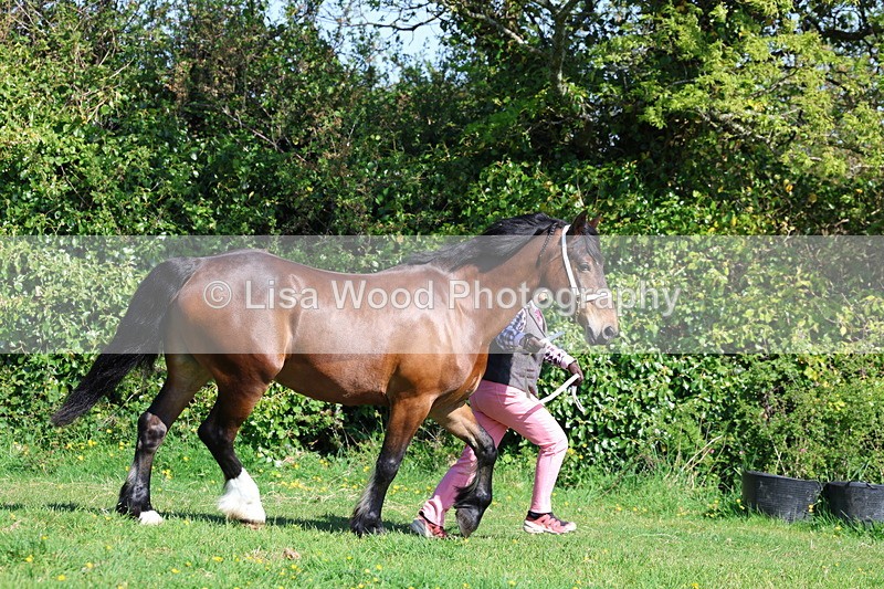 3E7A9441 - Class 16: Best Grass Kept