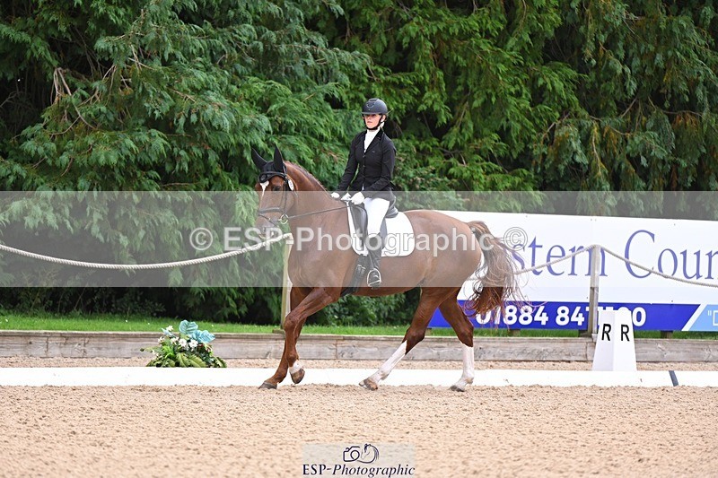 240809-121946-00743 - 185-Daisy.Hedges-Felicia.v