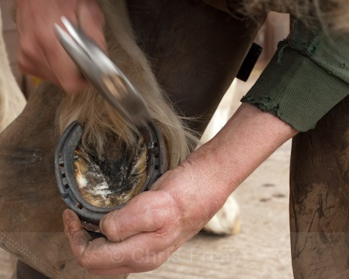 7 - The Farrier