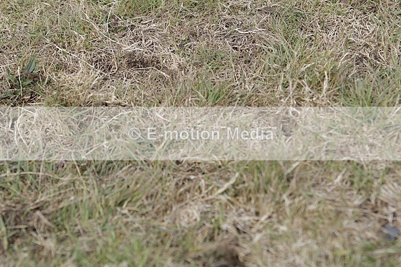 BVHT 140517 I-620 - Class 1 SJ Intermediate 14/05/17