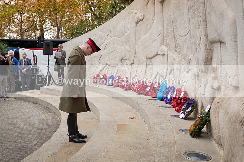 Z62_4633 - Animals In War Memorial 2025 - Park Lane, London