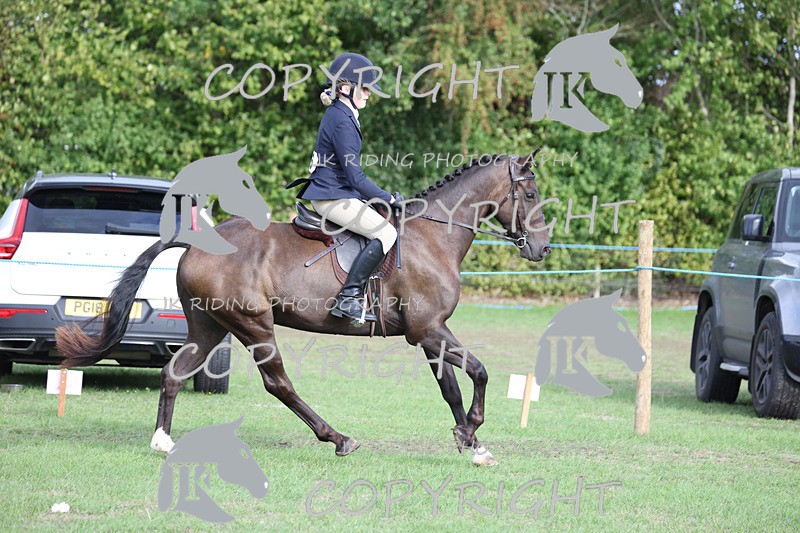 APP_4178 - Class 15a/b Pony club pony/Riding club horse