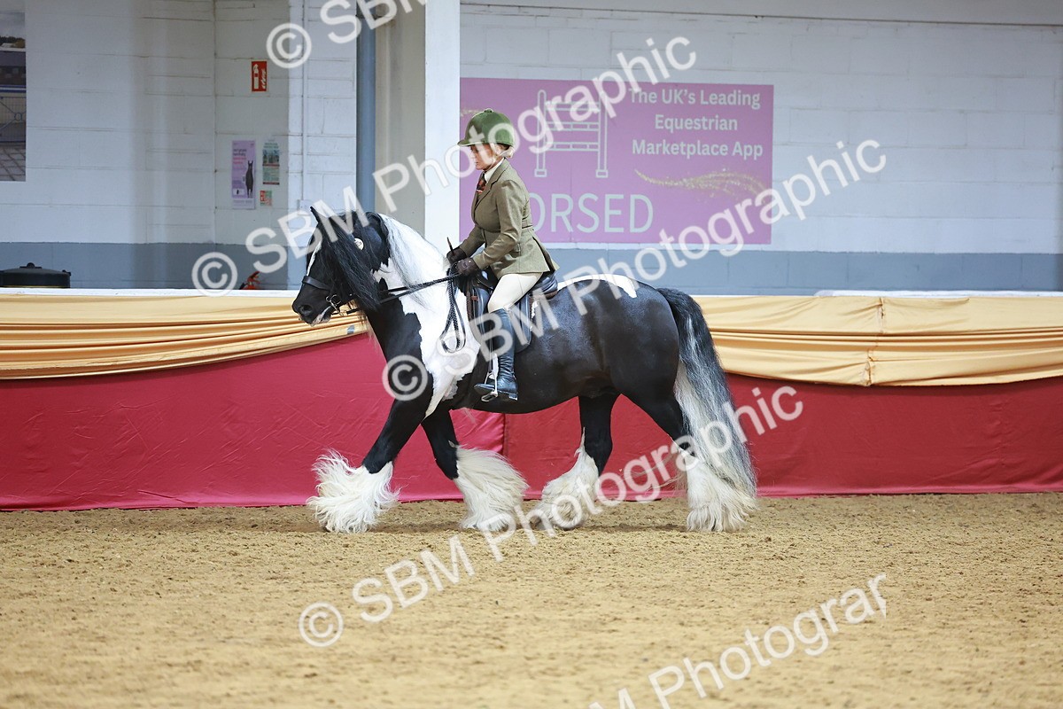 SBM_06265 - Class 12R - Ridden Pre-Vet