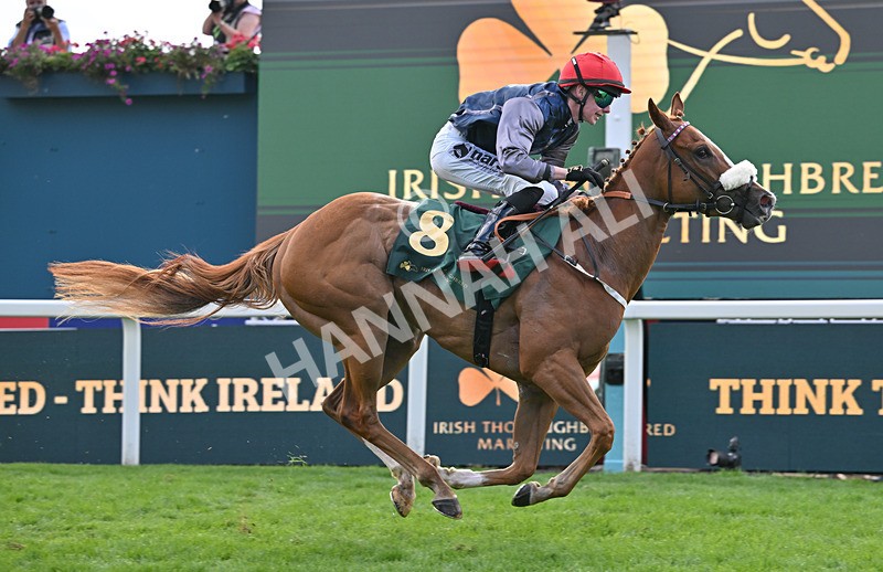 190826-227 Miss Yechance - Race 6 16.45pm Irish Thoroughbred Marketing Handicap