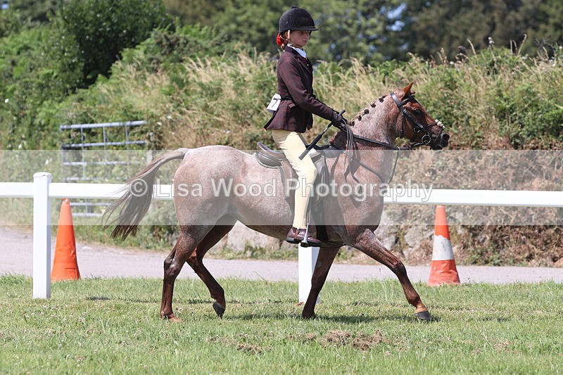 JPP_2710 - Class 21: Working Hunter 60cm