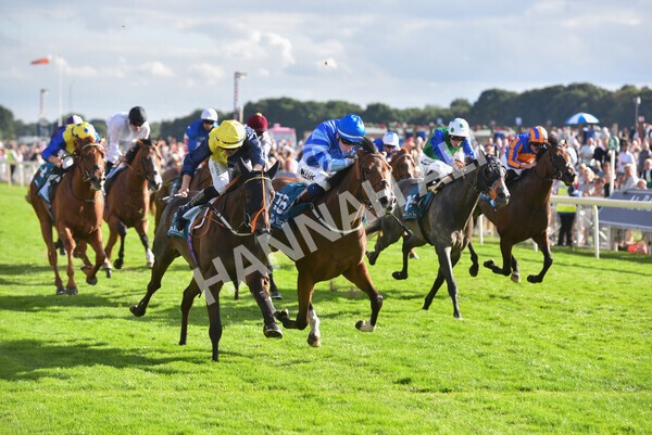 yr19082022r7-40 - Race 7 5.20pm Sky Bet Mile Stakes