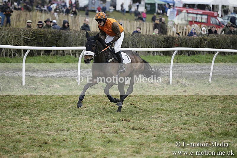 PtP 020418 -418 - Old Berks Point-to-Point Races Easter Monday 02/04/18