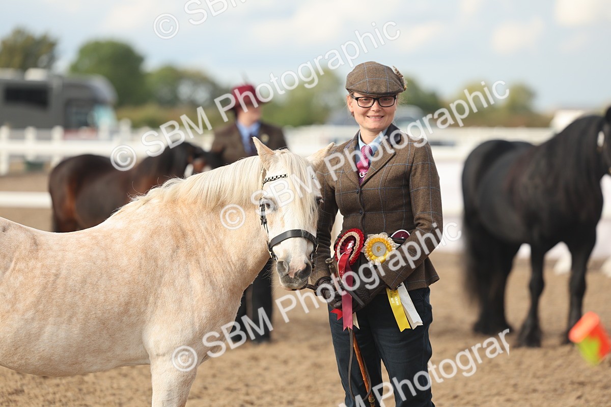 SBM_08584 - Class 29 - IH Veteran Pony