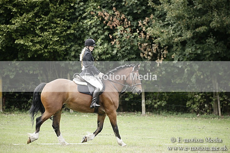 BVR080918 34 - BVRC Novice Dressage & CR 08/09/18