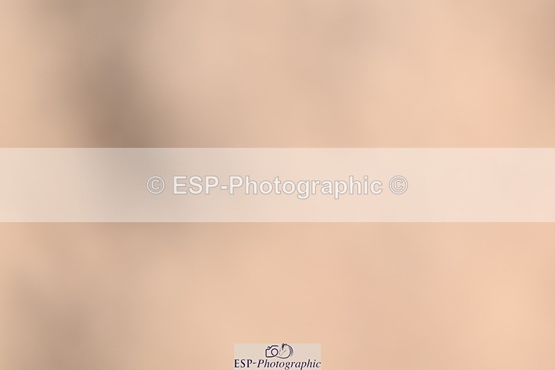 240622A-090855-06713 - Cls 23 BD Prelim 19