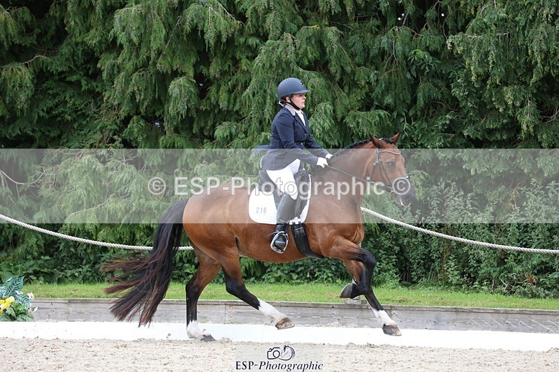 230812-142927-04431 - Cls 5 Novice Bronze 13.40 to 14.45 break