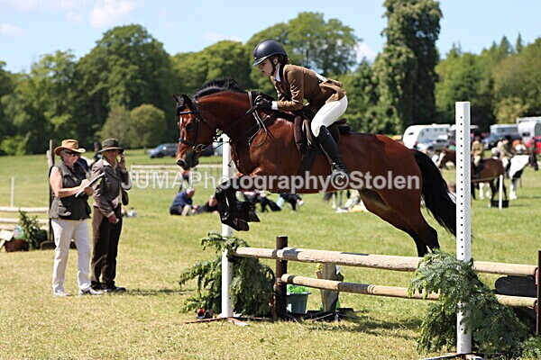IMG_3748 - Working Hunter